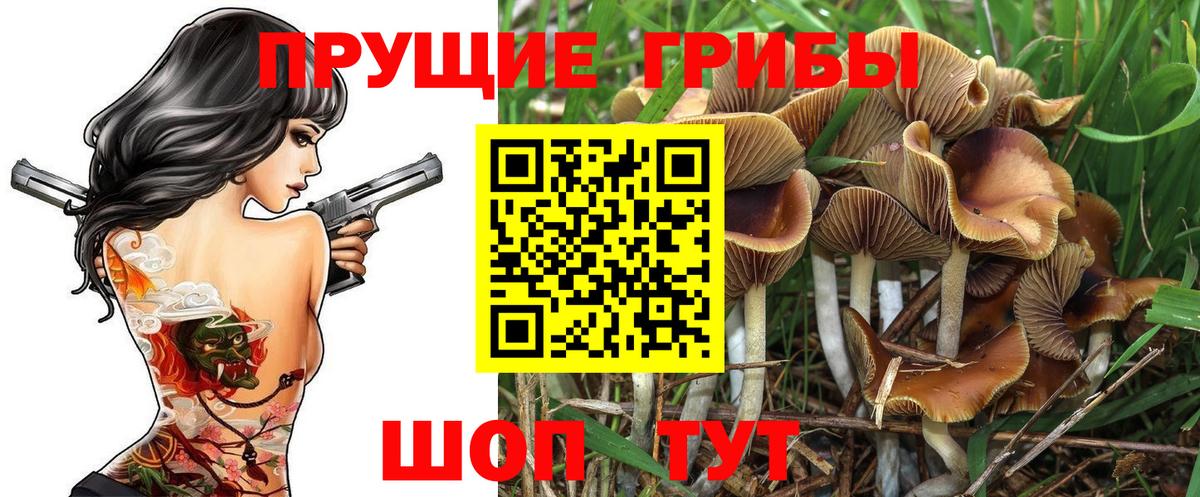 Горячий Ключ  Галлюциногенные грибы Psilocybe  Псилоцибиновые грибы Magic Shrooms  Вход с VPN 